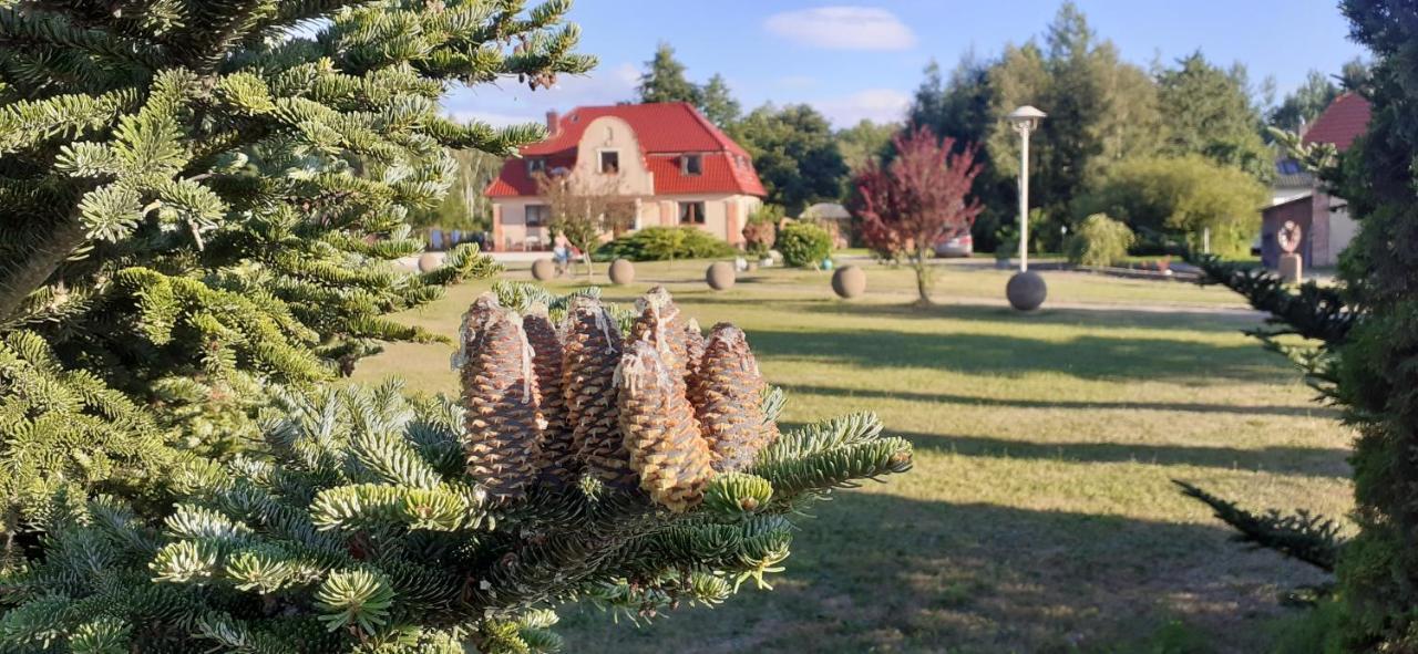 Sielanka - Domki I Pokoje Pod Leba Zarnowska Buitenkant foto