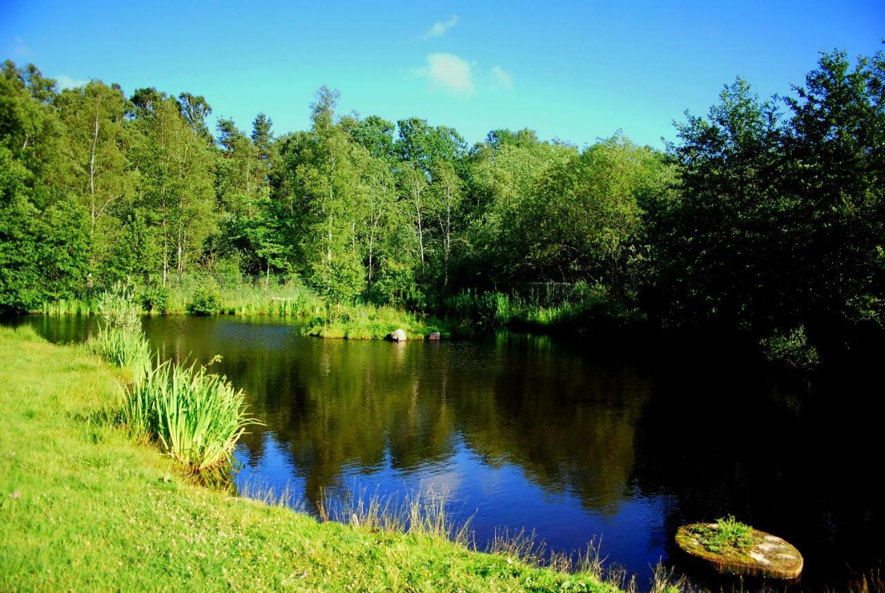 Sielanka - Domki I Pokoje Pod Leba Zarnowska Buitenkant foto
